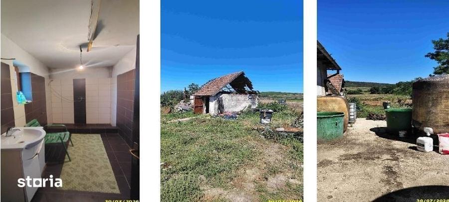 Casa si teren sat Bogdand, cota parte 4/5, ID: R3352896 - 5