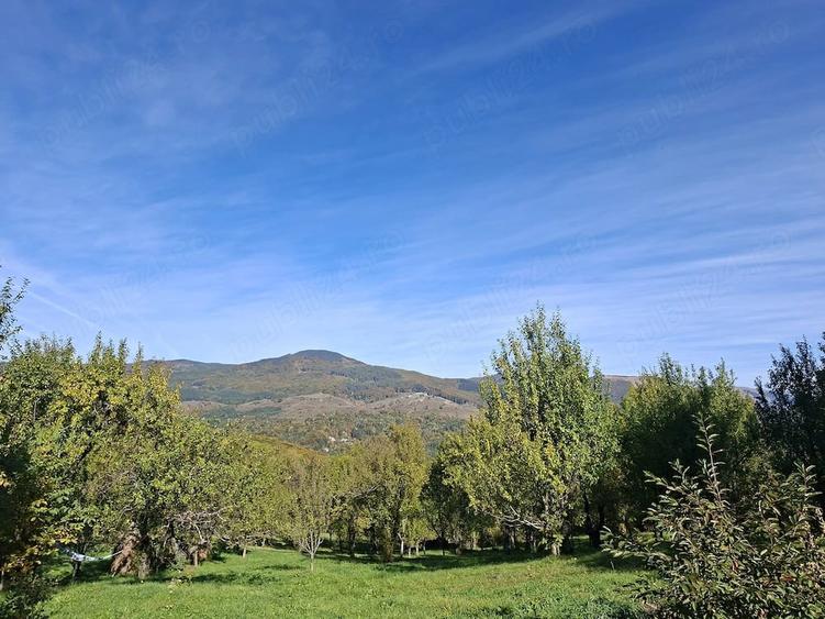 Teren de 5593 mp, în Plai