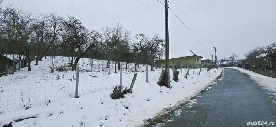 Casă cu 3 camere cu Teren 2500 Mp în Central