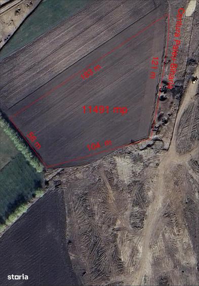 Teren de 11500 mp, în Biharia