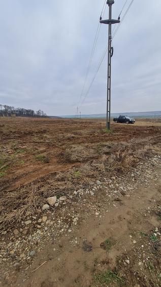 Teren de 1030 mp, în Marghita
