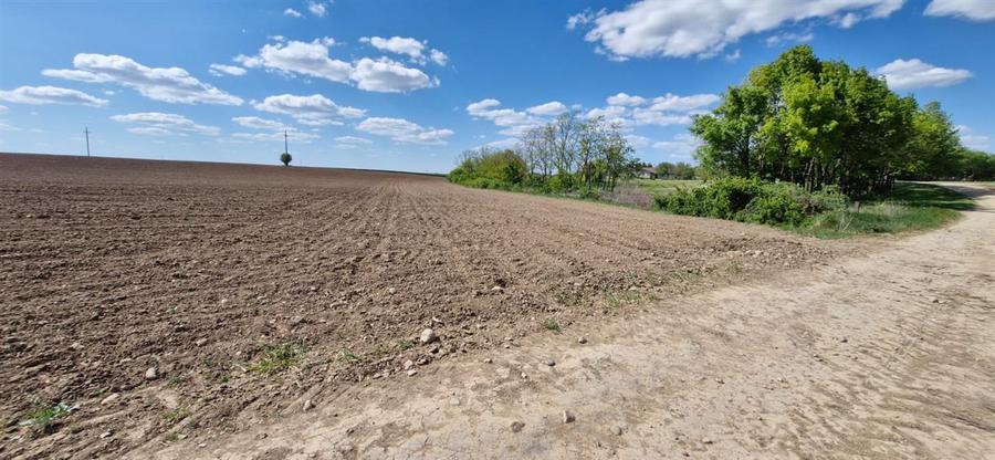 Teren intravilan de 13000 mp, în Periferie
