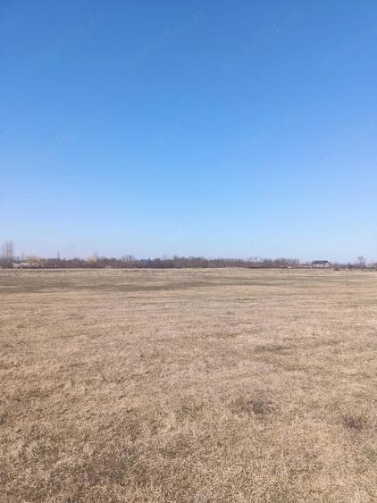 Teren de 10000 mp, în Golăiești