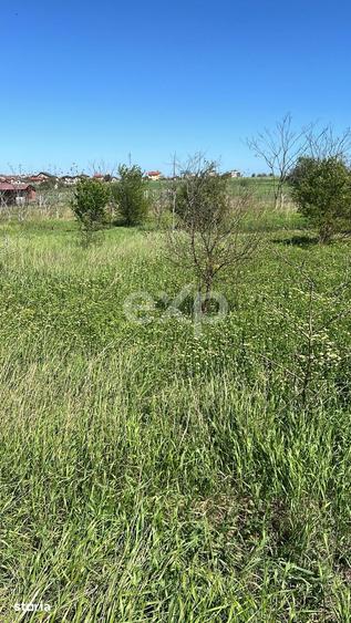 De vanzare teren extravilan, 400 mp, Loc. Techirghiol, Jud. Constanta - 4