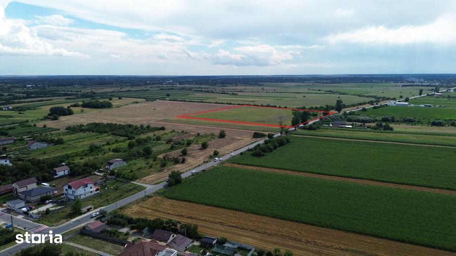 Teren de 30000 mp, în Bolintin-Deal