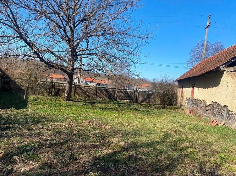 Casă cu Teren 11000 Mp în Fârdea