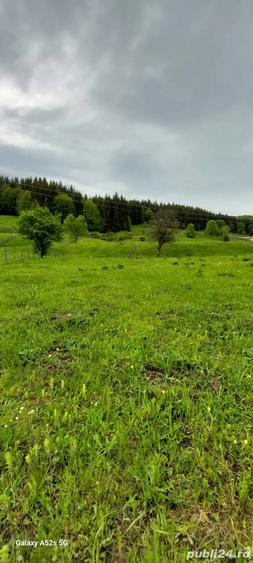 Teren de 3465 mp, în Trăisteni