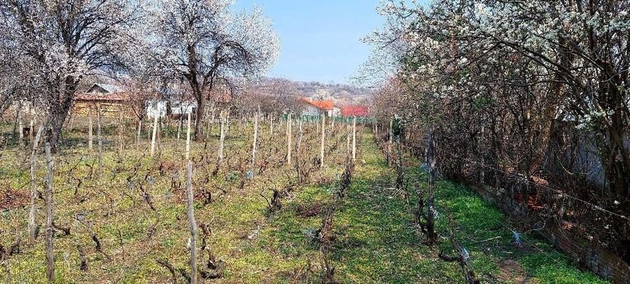 Teren de 1600 mp, în Breaza