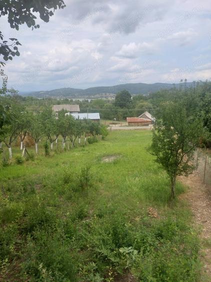 Teren de 1384 mp, în Anghinești