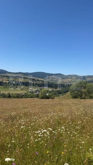 Teren de 50000 mp, în Șaru Dornei