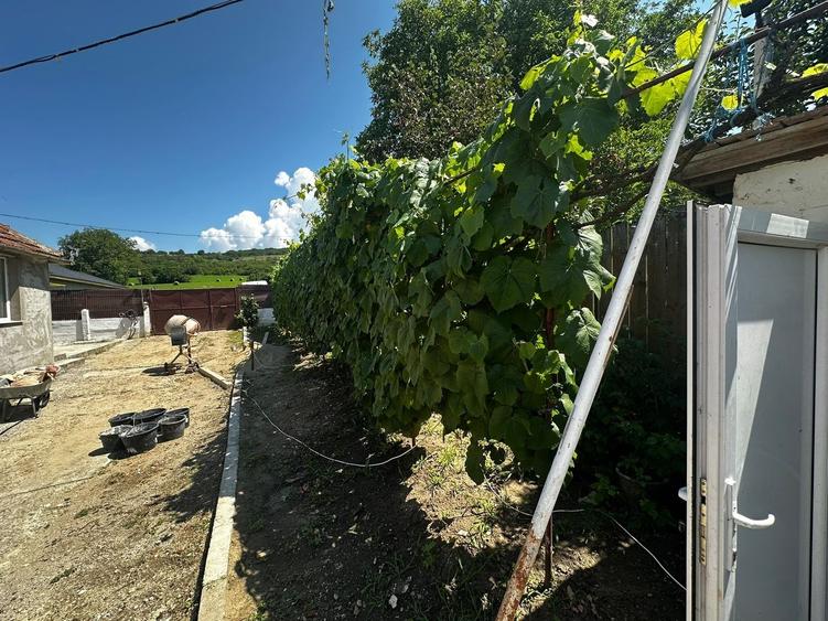 Casă individuală cu 3 camere cu Canalizare în Ruși
