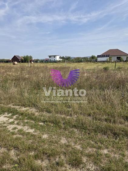 Teren agricol extravilan de 1500 mp, în Șelimbăr