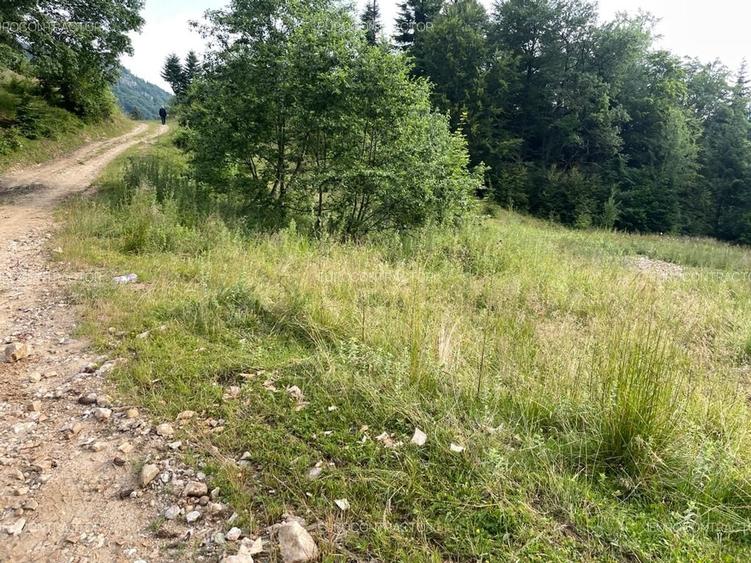 Teren Construcții intravilan de 13000 mp, în Râșnov Romacril