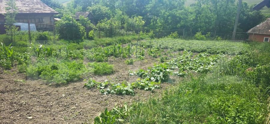 Casă individuală cu 3 camere cu Canalizare în Exterior Sud