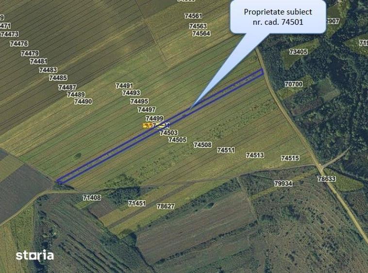 Teren de 24200 mp, în Muntenii de Jos