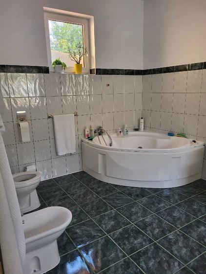 Casă cu Teren 873 Mp în Lunei