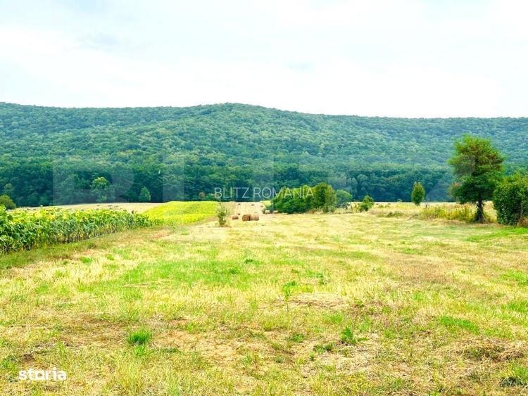 Teren de vanzare, 15.000 mp, zona Poieni - Com. Schitu Duca