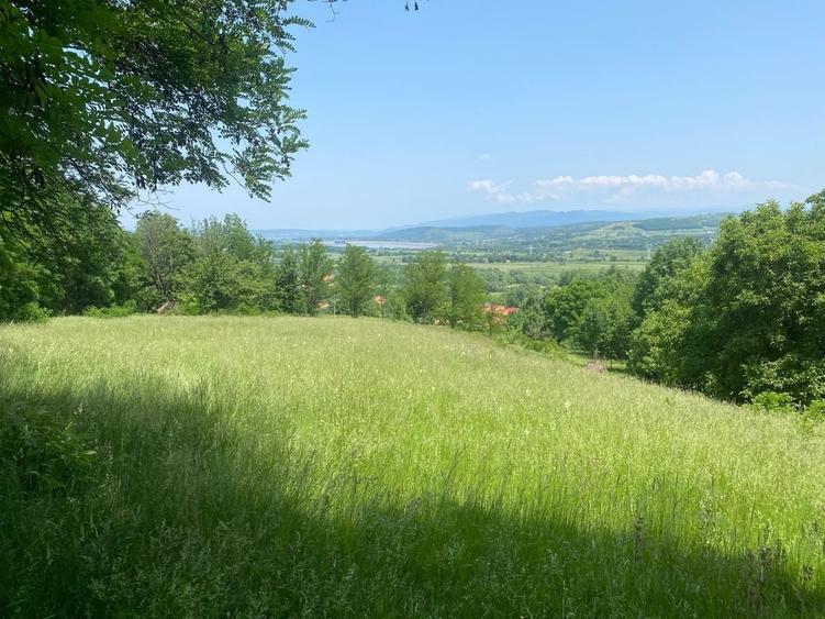 Teren de 4800 mp, în Clopotiva