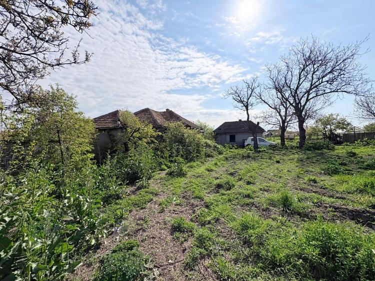 Teren Construcții intravilan de 2591 mp, în Cobadin