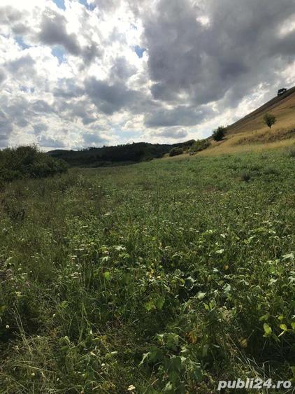 vand teren extravilan Faneata 11500mp ( impadurire) com Micasasa jud. Sibiu sau schimb cu intravilan - 5