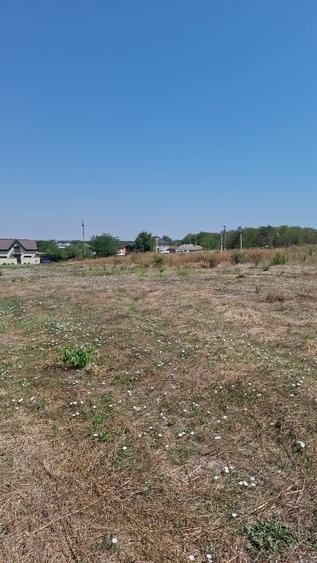 Teren intravilan 891 mp – Valea lui Traian, utilități, drum privat,zonă curată - 5