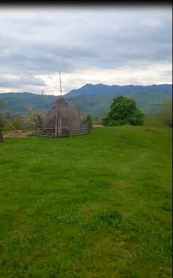 Teren de 26000 mp, în Rădăcinești