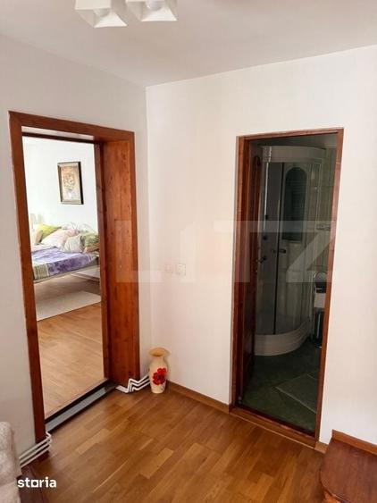 Proprietate cu doua case renovate, in inima comunei Vulcan - 18