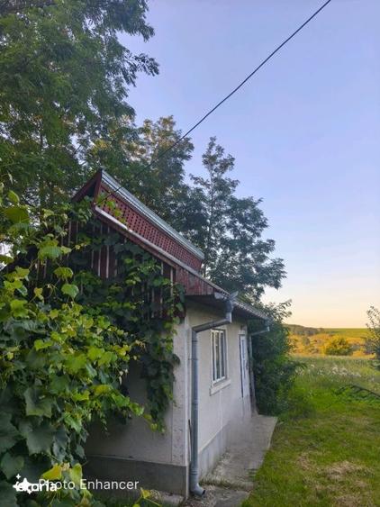 Casa individuala, 3500mp teren, zona Negostina, Siret - 2