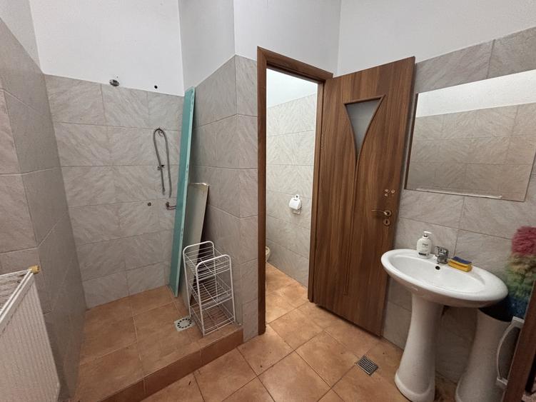 Spațiu industrial, de 269 mp, în Costin Georgian