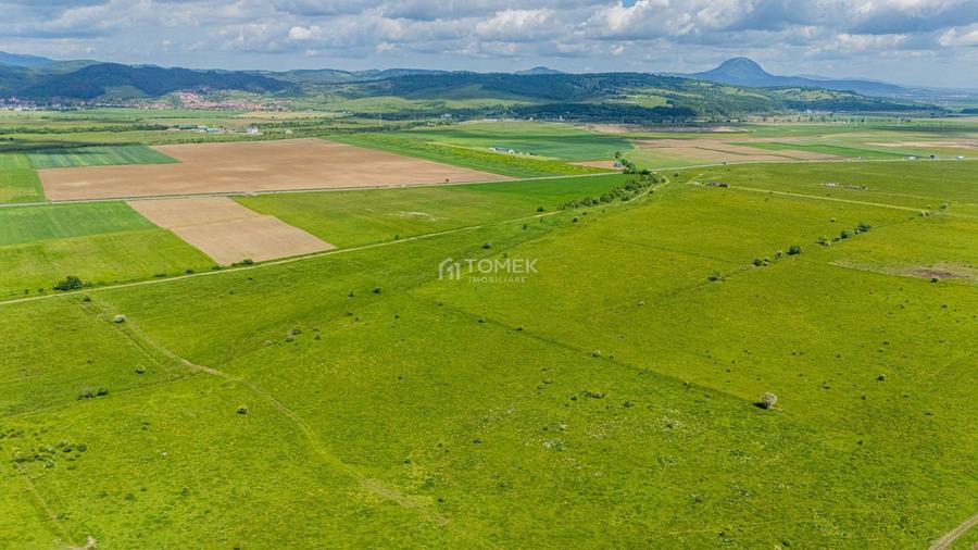 Teren agricol extravilan de 5800 mp, în Tohanu Nou