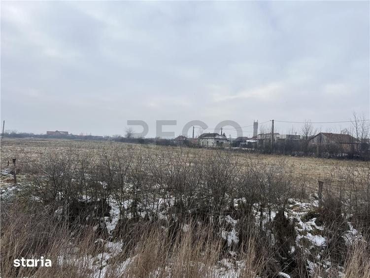 Teren de 26000 mp, în Cefa