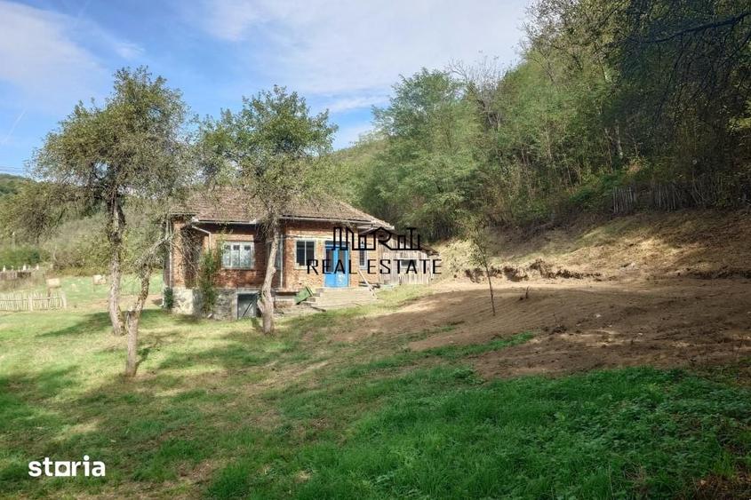 Casă cu 4 camere cu Teren 9563 Mp în Dumbrava