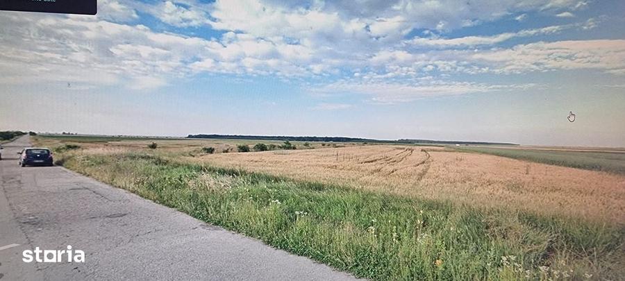 Teren de 10000 mp, în Rătești