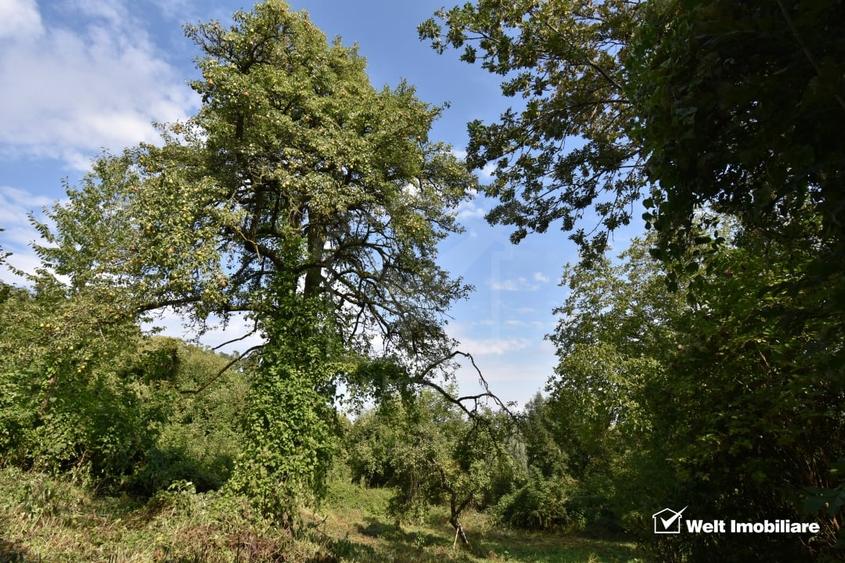 Casă individuală cu 2 camere cu Teren 1547 Mp în Gheorghieni