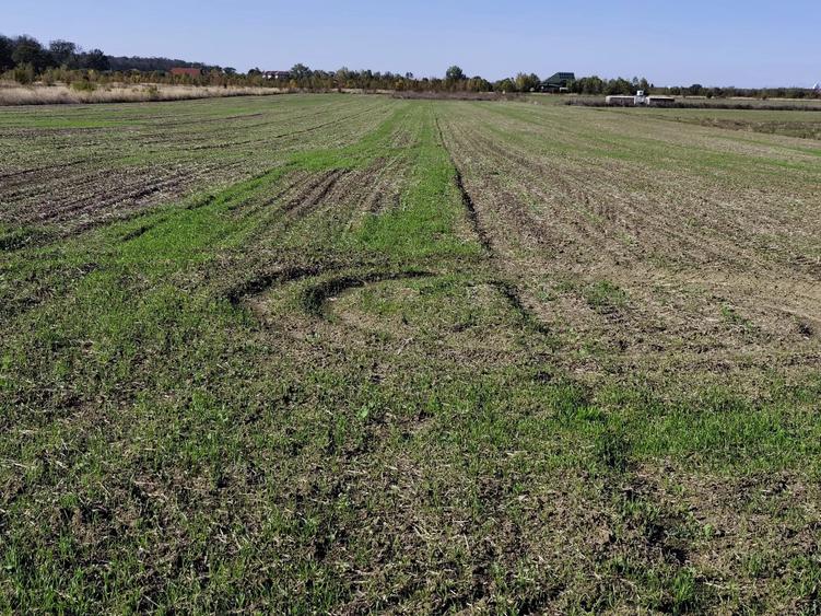 Teren agricol extravilan de 5054 mp, în Săbăreni
