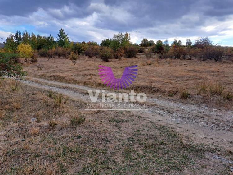 Teren Construcții intravilan de 1000 mp, în Cisnădioara