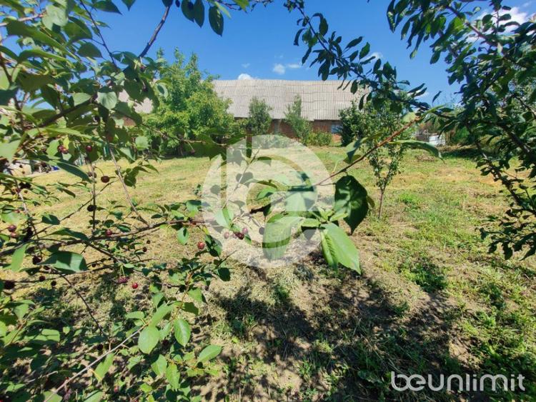 Teren intravilan Sura Mare - 578 Mp - PUZ aprobat si toate u - 5