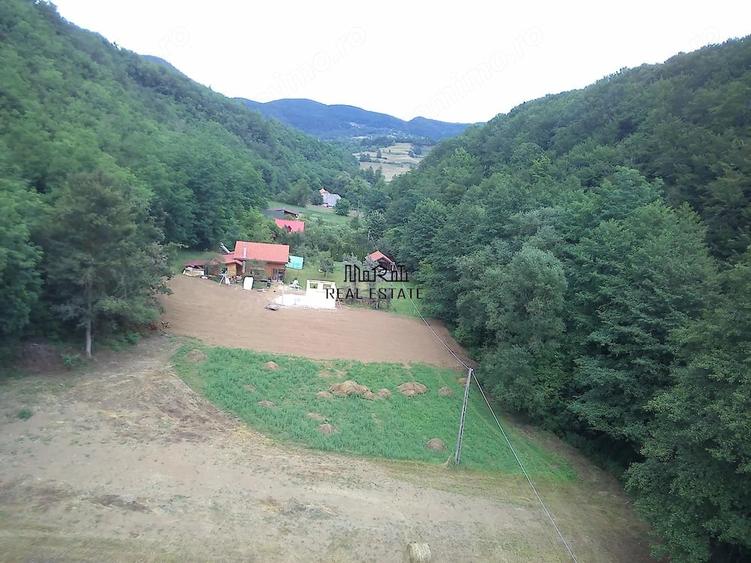 Teren de 5800 mp, în Podele