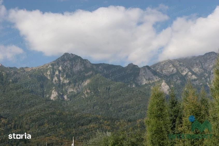Teren de 1000 mp, în Piatra Arsă