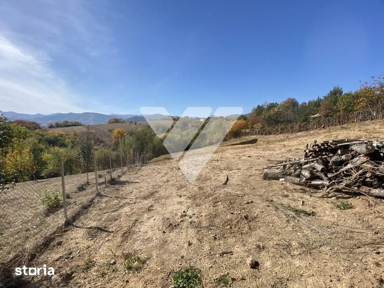 Teren de 1744 mp, în Iacobeni