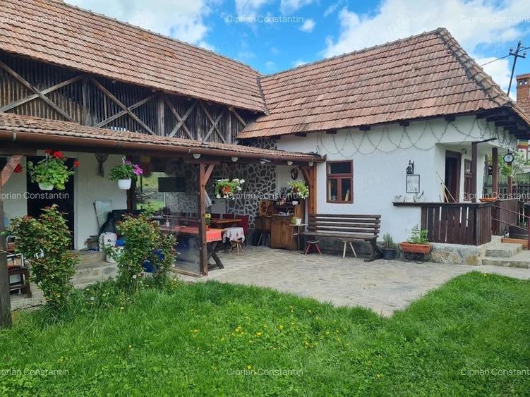 Casă cu Teren 20855 Mp în Albești