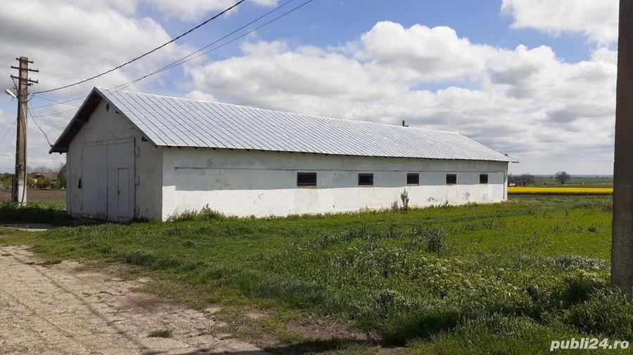De vanzare Teren ?i Conac Brastava?u, Olt - 5