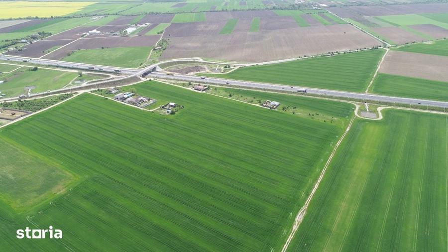 Teren intravilan de vanzare Ciorogarla, sat Darvari | 40.578 mp | - 12