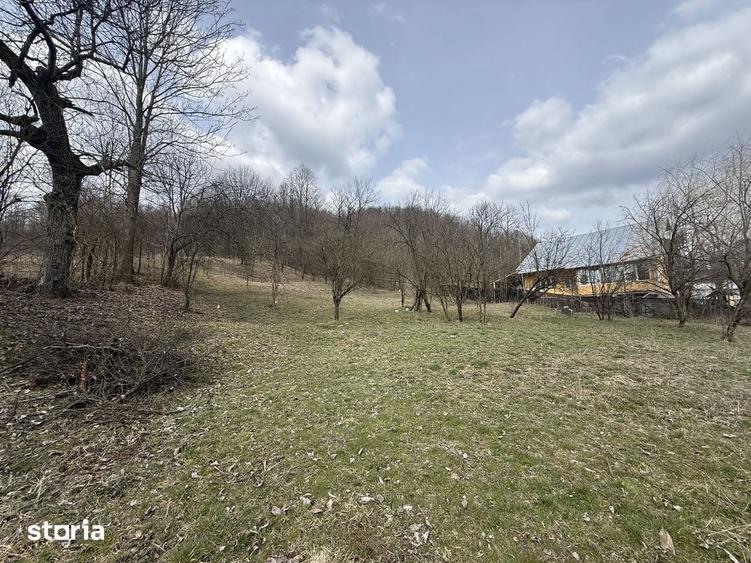 Teren de 6040 mp, în Provița de Jos