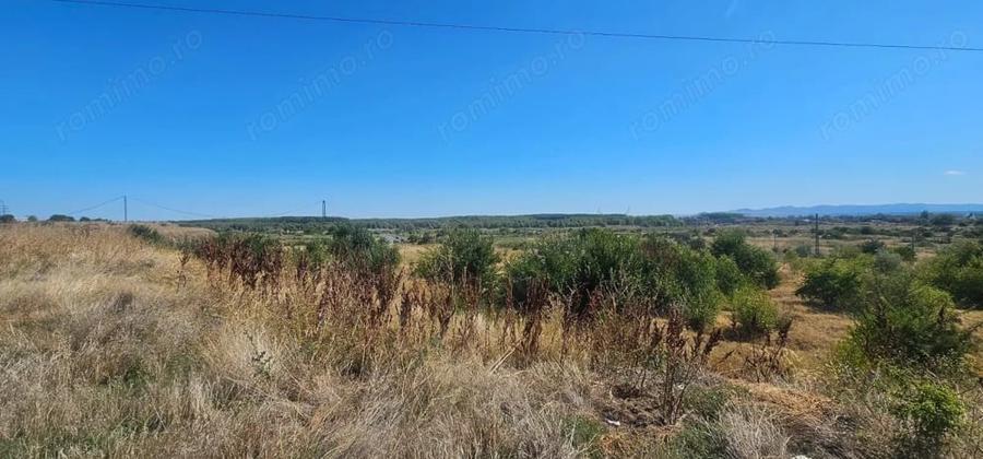 Teren de 14168 mp, în Brăilița