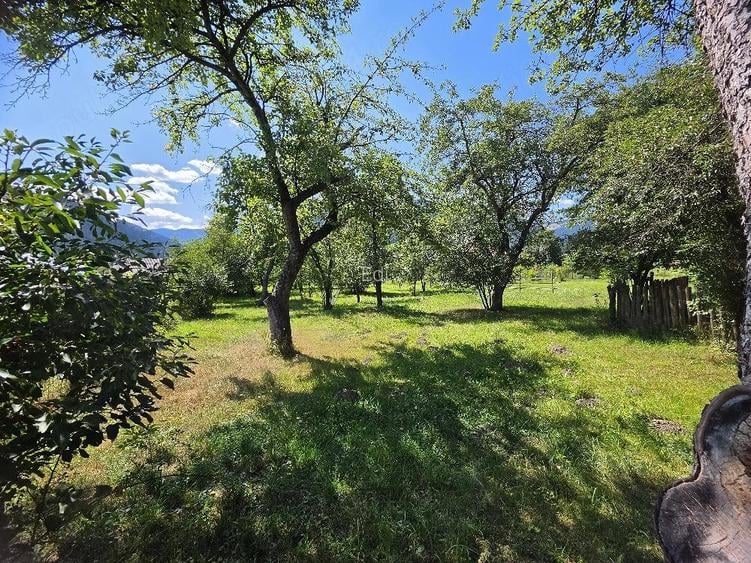 Teren 1350mp - Borca - poaiana Sabasei -Intravilan
