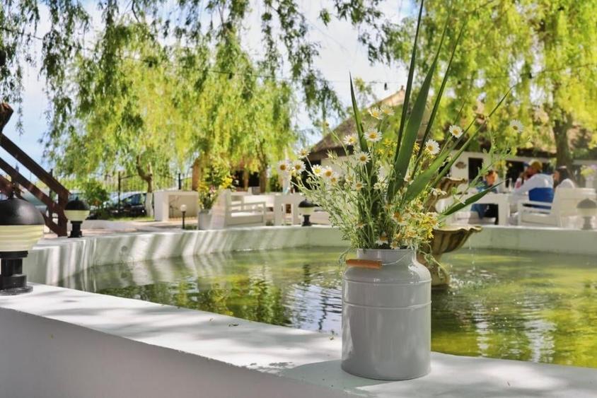 Casă individuală cu 19 camere cu Piscina în Murighiol