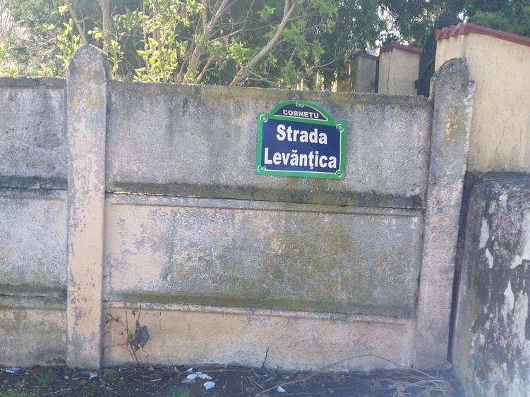 Teren în Cornetu