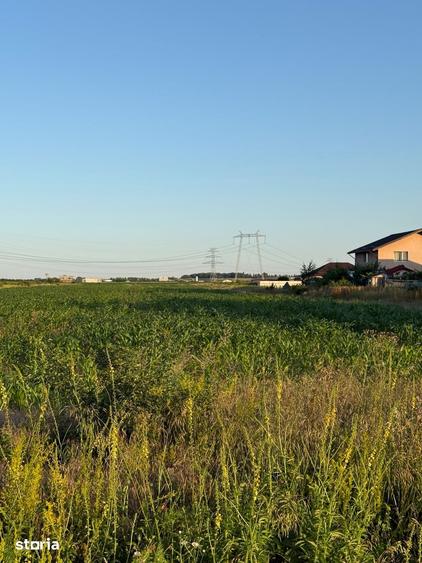 Teren de 500 mp, în Clinceni