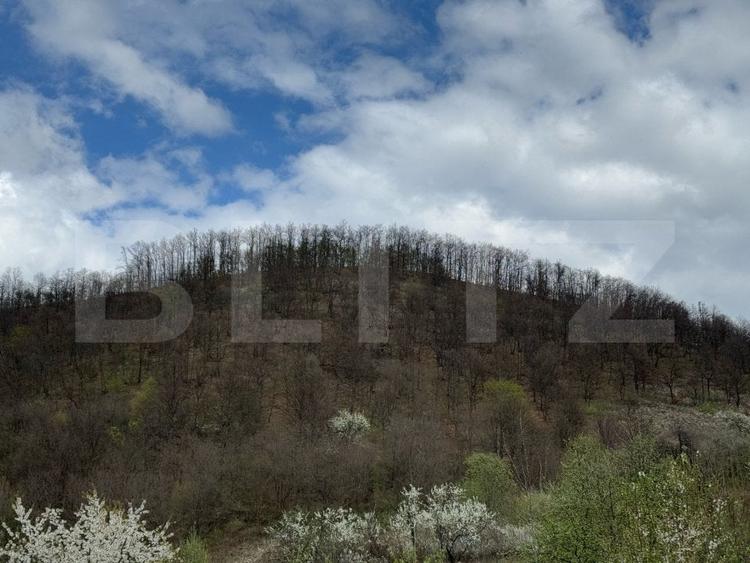 Vand 2 hectare de pădure de Stejar, Carmazanesti - 2